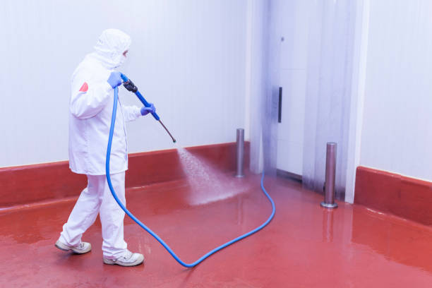 Best Sidewalk and Walkway Cleaning  in Margate City, NJ